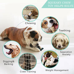 XIUNPR-6 squeak feature closeup encourages interactive play