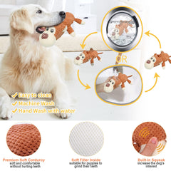 XLMYS dog bone molar stick resists gnawing and supports dental-friendly play