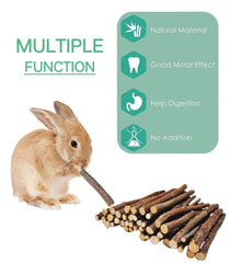 Apple Sticks measuring 4.7 inches for small pets by XLpeixin