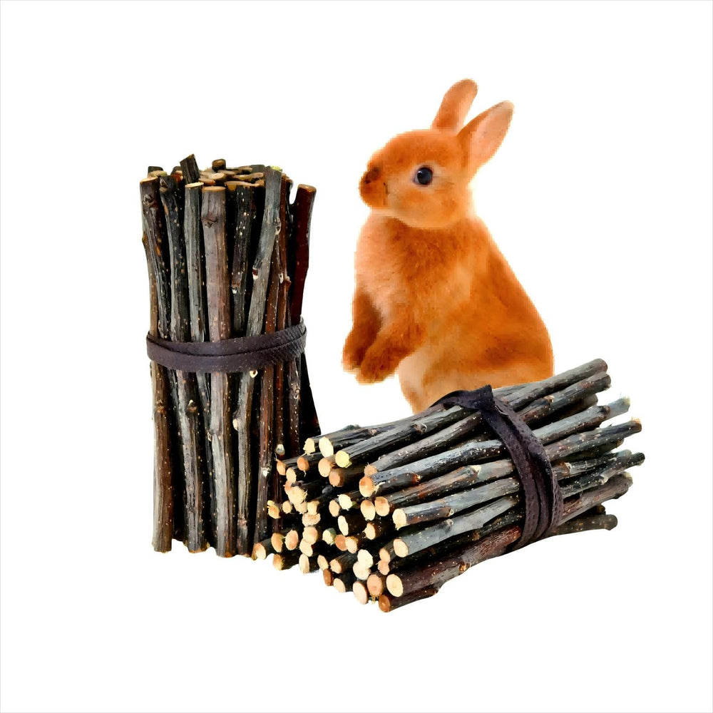 XLpeixin Apple Sticks packaged with kraft paper for hygienic storage