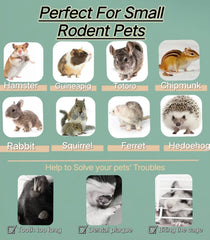 Two sachets of 100g each from XLpeixin Apple Sticks