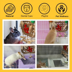 XLpeixin seagrass chew toy natural—edible materials support natural tooth wear and foraging fun.