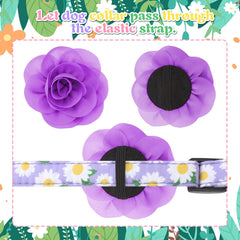 XLSXEXCL color-varieties collar set lets you mix looks for occasions.