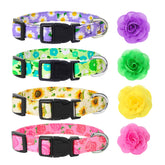 XLSXEXCL flower dog collar with removable flower adds cute daily styling for small dogs.