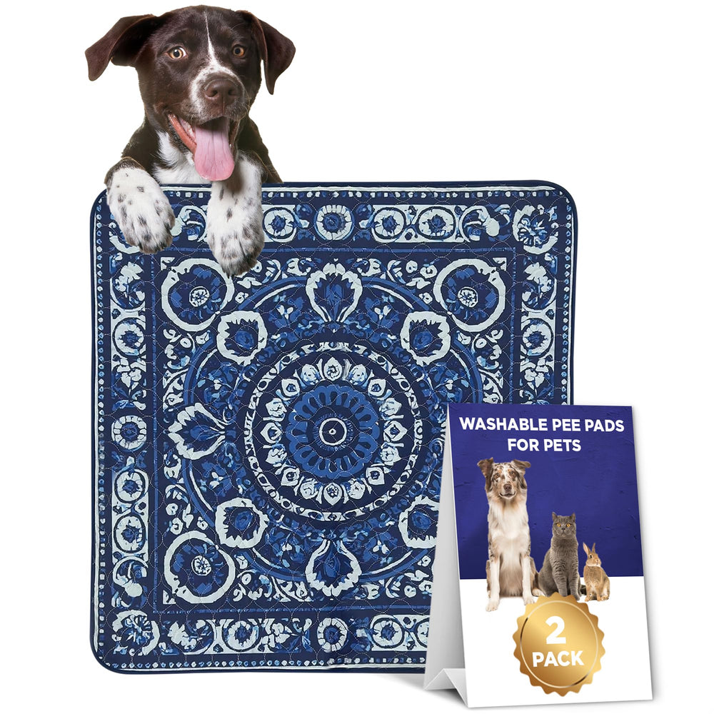 XOX Lovestoree 36x36 pee pad 4-layer design provides fast absorption and leak protection for homes with pets.