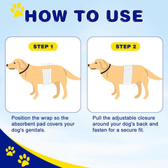 XPCARE size-chart image helps choose XS to L for proper fit.