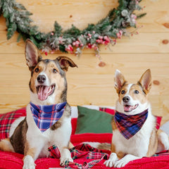 XPUDAC soft polyester bandana in plaid offers breathable wear.