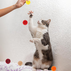 Xthrotsenk cat ball bright colors 1inch attract cats for hours of activity