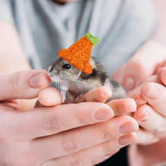 Xuniea hamster hat carrot style adds playful seasonal vibe for events