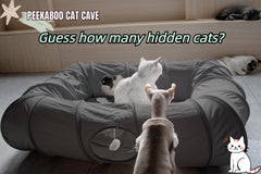 XxingSheep cat tunnel entrances highlight multiple entry points for interactive play.