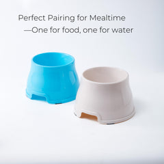 Xylarnoveth Spaniel Bowls non-slip base helps bowls stay steady