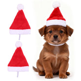 Yahpetes pet Santa hat plush close-up with festive texture for cute holiday photos.