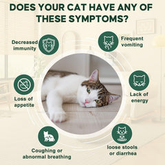 Yakucho Dewomax liquid pour showing easy daily dosing for feline wellness