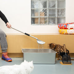 Yangbaga detachable stainless steel sifter shown for easy, residue-free scooping.