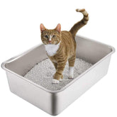 Yangbaga stainless steel litter box close-up, smooth surface for easy cleaning and odor control.