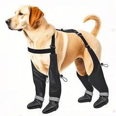 YAQUHO suspender boots on a large dog in winter snow for paw protection.