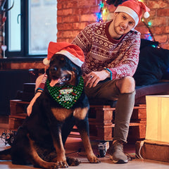 Yarcooly Griswold Eddie Christmas photo setup captures vibrant holiday vibes.
