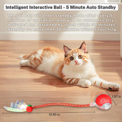 Yaruiguang Speedy Tail 2.0 ball side view shows compact indoor fun design for cats