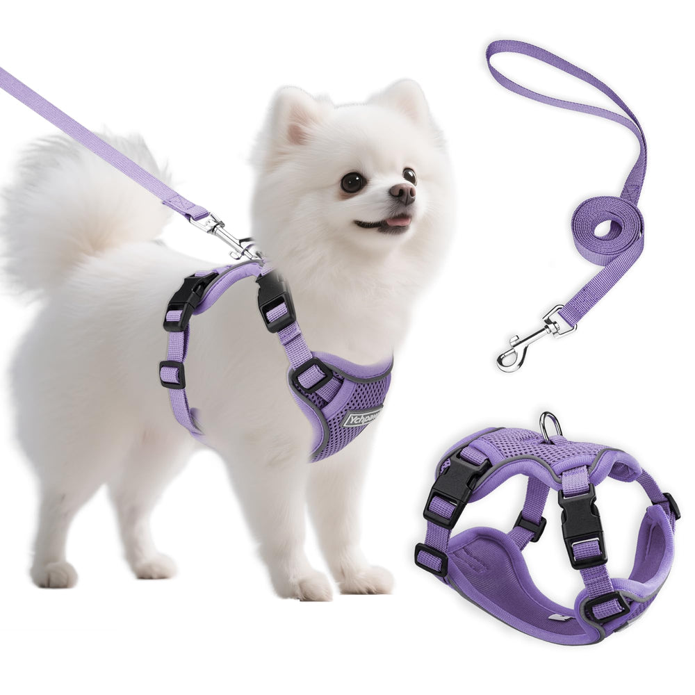 Ychpaw small dog harness purple setup shows easy step-in design for quick walks and comfort.