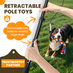 Ycozy Flirt Pole extended to 40.6 inches for comfortable distance during play