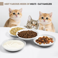 Yeahgo whisker-friendly dishes reduce whisker irritation for comfortable eating.