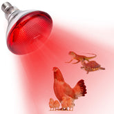 YEAOI heat lamp coop brooder provides steady warmth for growing chicks.