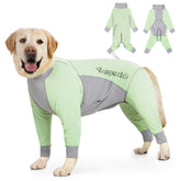 Traje Yeapeeto para perros con protección solar y cobertura total para paseos.