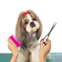 YEEPSYS pet comb for dogs and cats removes loose hair and tangles