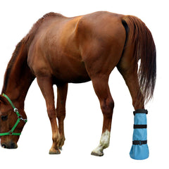 Yeezo hoof soaking boot on hoof closeup reveals snug fit and secure fastenings.