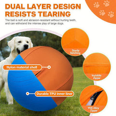 YEHALEANS dog training use in outdoor play with high-visibility orange color.