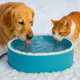 YEOLEH heated bowl close-up showing warm outdoor water for pets.
