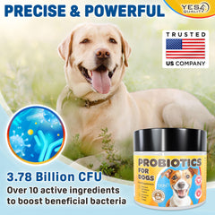 YES4QUALITY Dog Probiotics chicken-flavor chews shown as tasty digestive support treats.