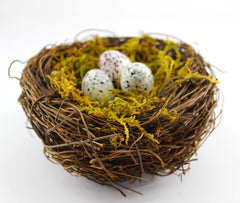 YEUQWJ moss pack 4-pieces provides natural texture
