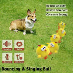 Yewacne rechargeable squeaky toy keeps small dogs engaged with motion and sound