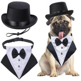 Yewong pet top hat close-up on a dog's head for a formal look.