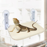 YEXEXINM bearded dragon hammock in window perch setup for safe resting