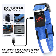 YFbrite LED dog collar 360-degree illumination flags visibility during evening walks