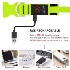 YFbrite heavy duty D-ring glow collar ready for leash attachment during daily walks.