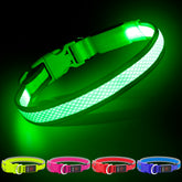 YFbrite light up dog collar in green large front view showing high visibility glow for night walks.