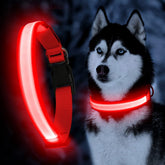 YFbrite Ultra Light LED Dog Collar front view showing bright glow for safe night walks.