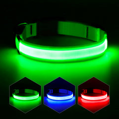 YFbrite Ultra Light LED dog collar in green with medium strap for high visibility.