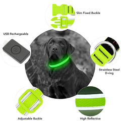 YFbrite USB rechargeable dog collar charging port emphasizing quick charge for longer walking sessions.
