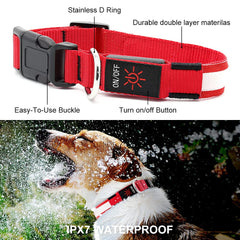YFbrite USB-rechargeable LED dog collar with convenient charging for long outdoor outings.