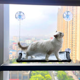 YILAG cat hammock window suction cups securing a sunny perch.
