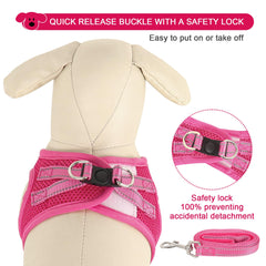 YIMEIS dog leash rose red 5ft reflective for nighttime visibility.