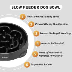 YINEYA anti-choking bowl raised design reduces rough contact during meals.