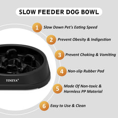 YINEYA slow feeder cat bowl, designed to slow meals and reduce gulping.