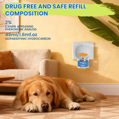 Yingsu dog relaxing scene depicts peaceful home environment during anxious moments