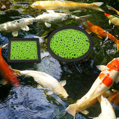 Yiyiring plant rings offered in five sizes to fit various aquatic plants.