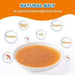 yizeril Instant Baby Brine Shrimp dropper demonstrates easy fry feeding.